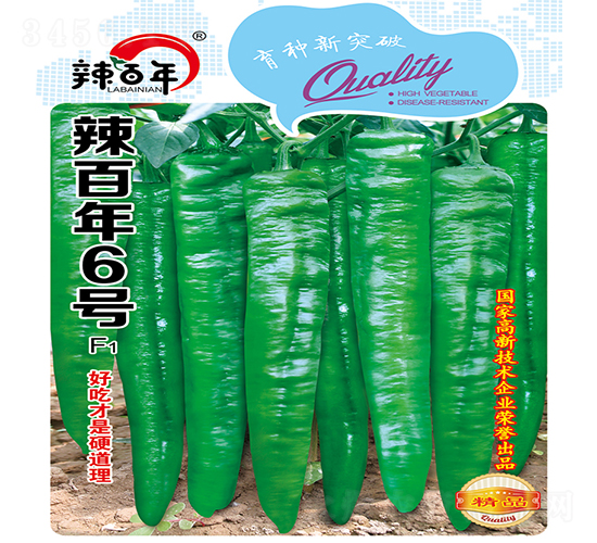 ������6̖(h��o)-�����N��-�K��(r��n)�N�I(y��)