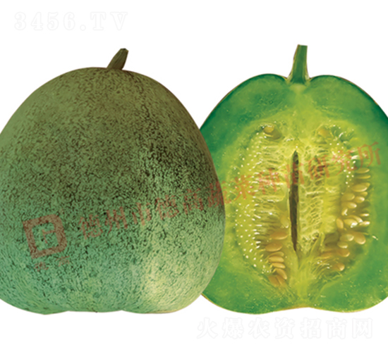 �¸�Q16-��ϷN��-�¸߷N�I(y��)