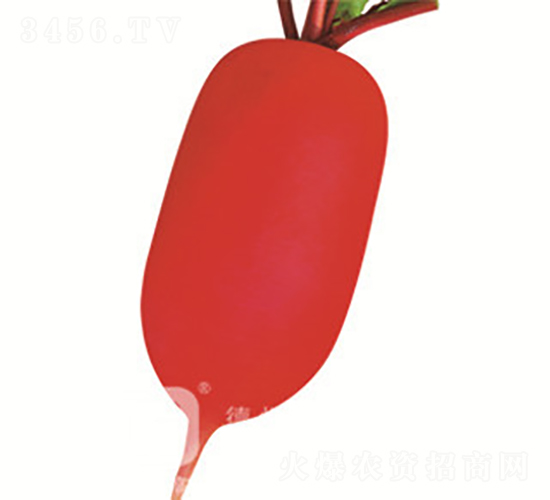 �tƤ�}��-�tС��-�}���N��-�¸߷N�I(y��)