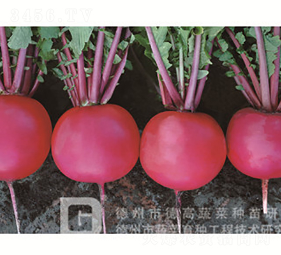 �tƤ�}��-�t��1̖(h��o)-�}���N��-�¸߷N�I(y��)