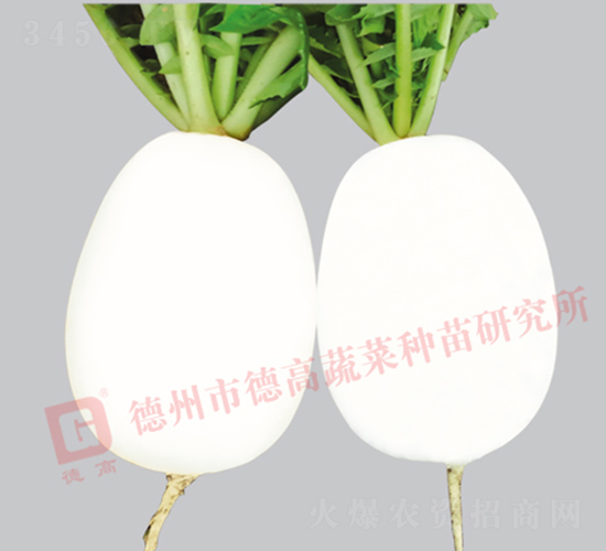 ���}��-�ߠ���-�}���N��-�¸߷N�I(y��)