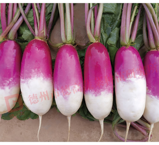 һ�c(di��n)�t�}��-RS60-�}���N��-�¸߷N�I(y��)