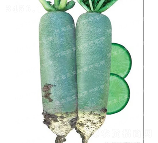 ˮ���}��-����-�}���N��-�¸߷N�I(y��)