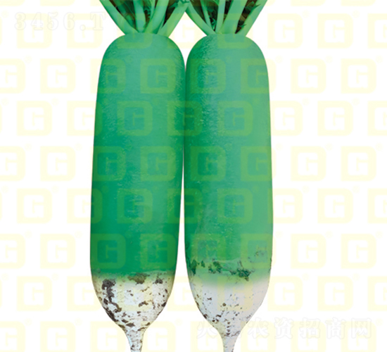 ˮ���}��-�¸ߖ|ɽ-�}���N��-�¸߷N�I(y��)