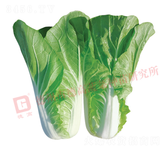 �~ɫ�Gɫ���-�¸����-��˷N��-�¸߷N�I(y��)