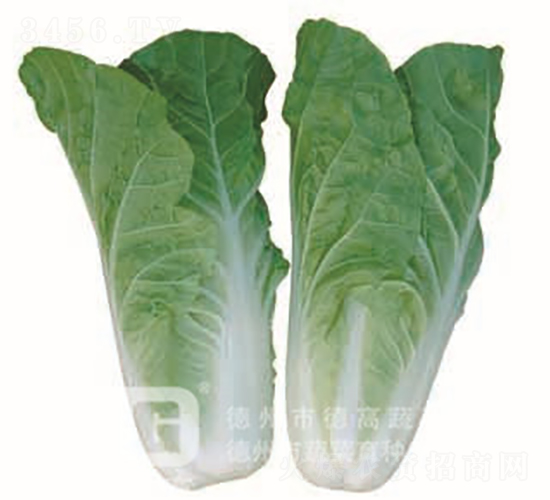 �~ɫ�S�G���-CR188-��˷N��-�¸߷N�I(y��)