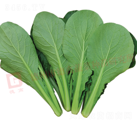 �G�Ϳ��-�¸�����8̖(h��o)-��˷N��-�¸߷N�I(y��)