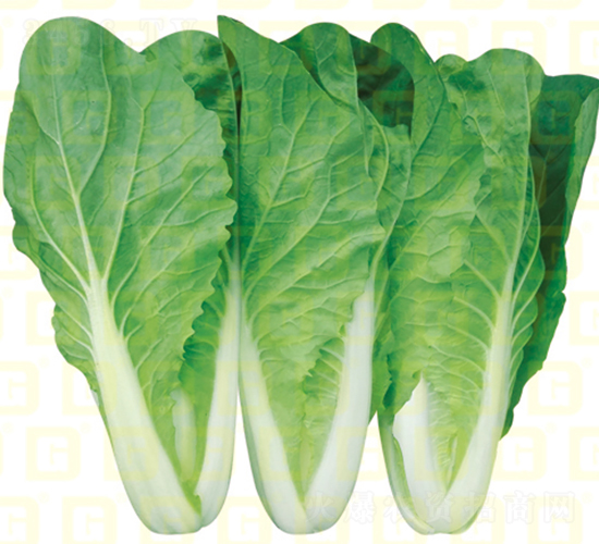 �~ɫ�^�G���-�¸�CR1833-��˷N��-�¸߷N�I(y��)