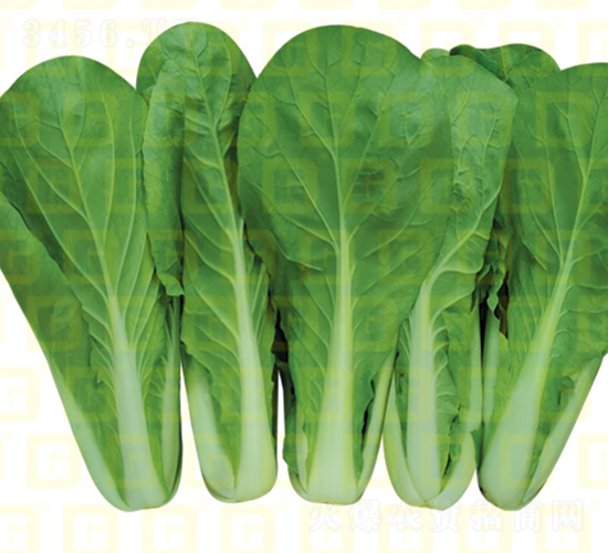 �~ɫ�^�G���-�¸��G�-��˷N��-�¸߷N�I(y��)