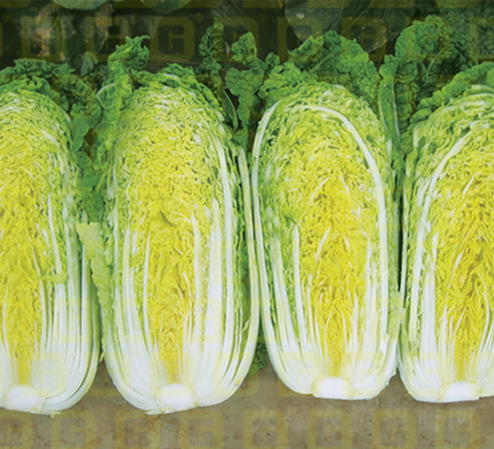 �¸ߵ��ጚ2̖(h��o)-���޲˷N��-�¸߷N�I(y��)