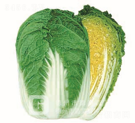 �����ͳ�޷�ײ�-����69-��ײ˷N��-�¸߷N�I(y��)