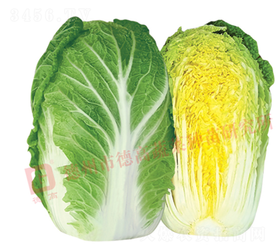 �����ͳ�޷�ײ�-17L723-��ײ˷N��-�¸߷N�I(y��)