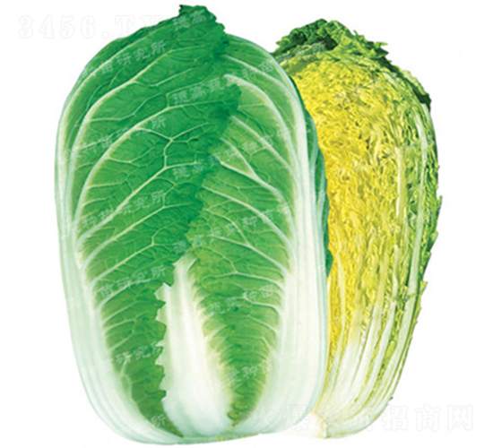 �����[���ײ�-CR143-��ײ˷N��-�¸߷N�I(y��)