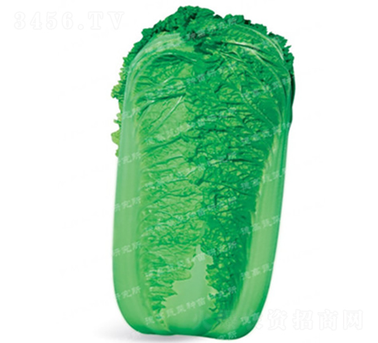 �����[���ײ�-CR118-��ײ˷N��-�¸߷N�I(y��)