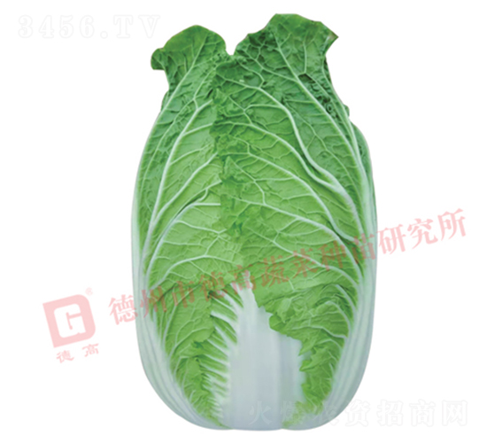 �����[���ײ�-CR1028-��ײ˷N��-�¸߷N�I(y��)