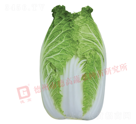 �����[���ײ�-CR1006-��ײ˷N��-�¸߷N�I(y��)