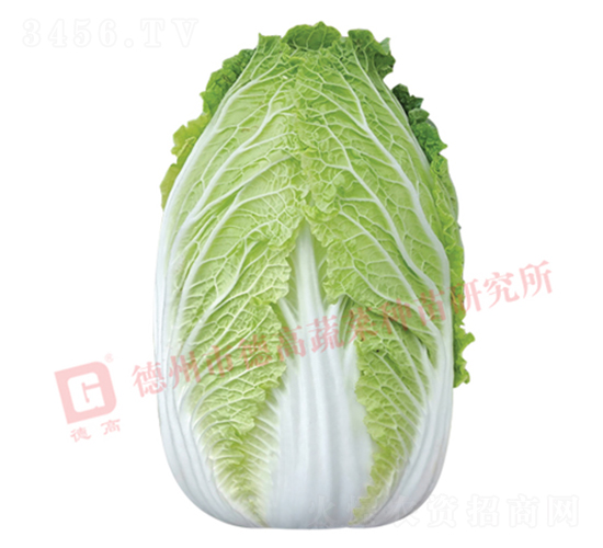 �����[���ײ�-CR141-��ײ˷N��-�¸߷N�I(y��)