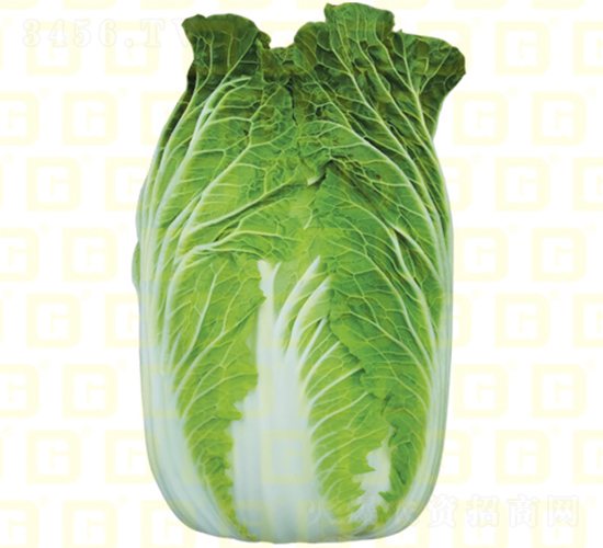 �����[���ײ�-�¸�ӯ��-��ײ˷N��-�¸߷N�I(y��)