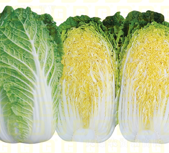 �����[���ײ�-�¸�C257-��ײ˷N��-�¸߷N�I(y��)