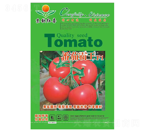 ���Ѱ���F1-���t���N��-���J�tϲ