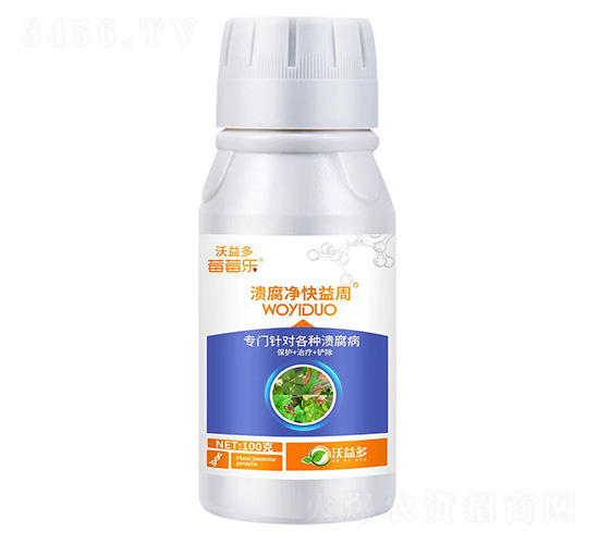 ������������-ݮݮ��-�����