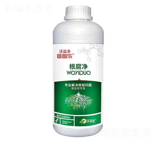 ������-ݮݮ��-�����