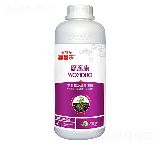 ������-ݮݮ��(l��)-�����