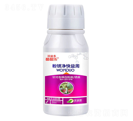 ���P��������-ݮݮ��-�����