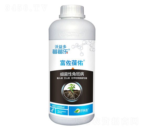 �����Խǰ߲�-��������-ݮݮ��-�����