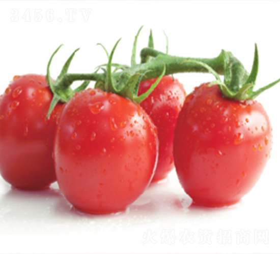 ��ӯ-���ѷN��-����