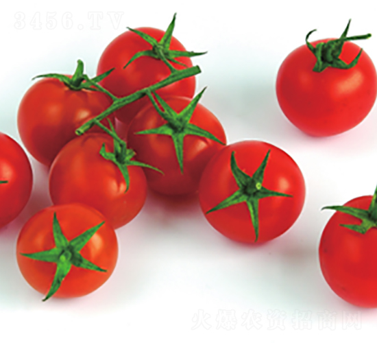 �tؐ��-���ѷN��-����