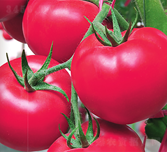 ��-���ѷN��-����