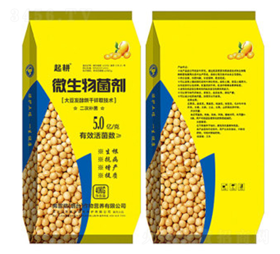 ΢�������-���-���׸�