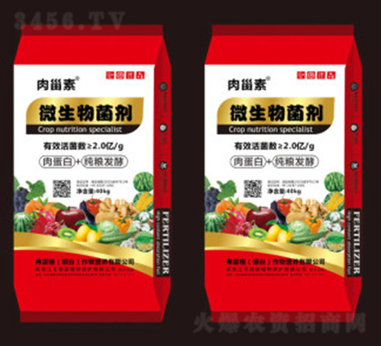 ΢��������⵰��+���Z�l(f��)��-���׸�