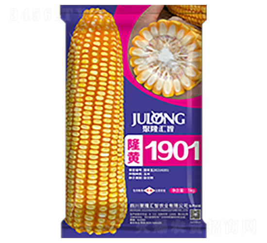 ¡�S1901-���׷N��-��¡�R��