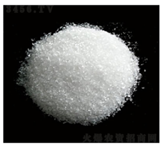 ��ˮ�����VС�w��-�Vï�Ƽ�