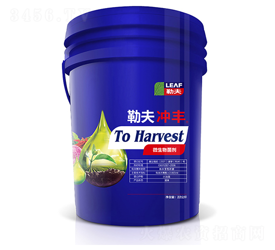 �շ�_�S�{(l��n)Ͱ��-�շ�