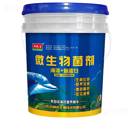 ����+�~����΢�������-��΢��-������