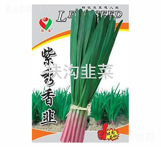 �������-��(y��u)�N�I(y��)