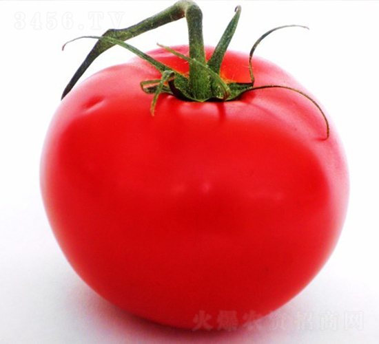 CNUS1607F1-�������L���ѷN��-�A���N��