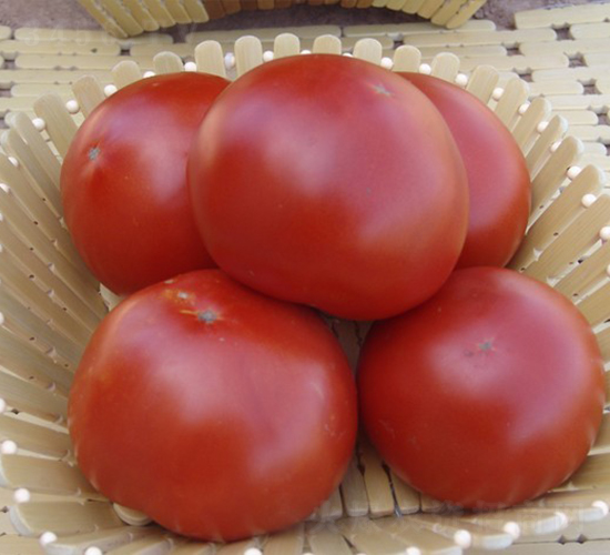 CNUS028F1-�������L���ѷN��-�A���N��