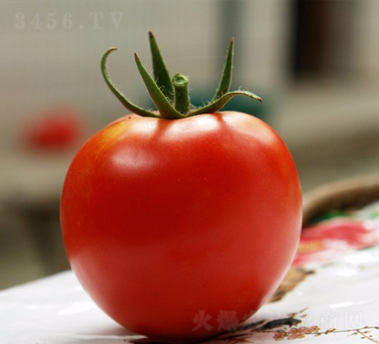 CNUS091F1-�������L(zh��ng)���ѷN��-�A���N��