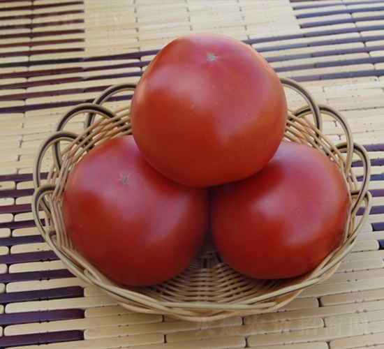 CNUS08F1-�������L���ѷN��-�A���N��