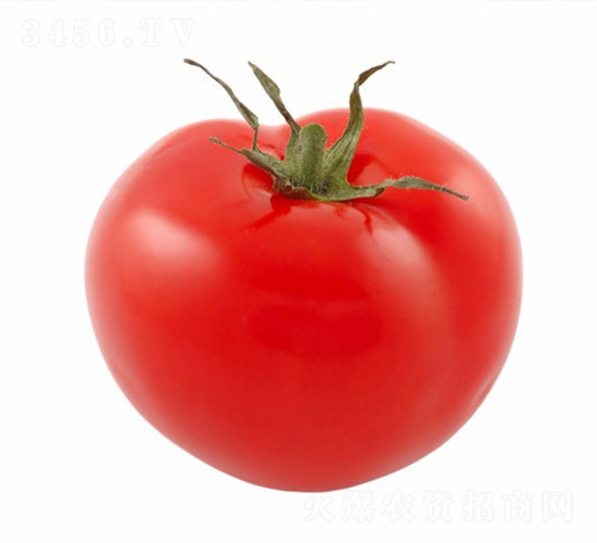 CNUS902F1-�������L���ѷN��-�A���N��