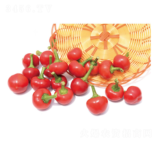 ���2̖(h��o)-���콷�N��-�c�l(f��)��ʢ