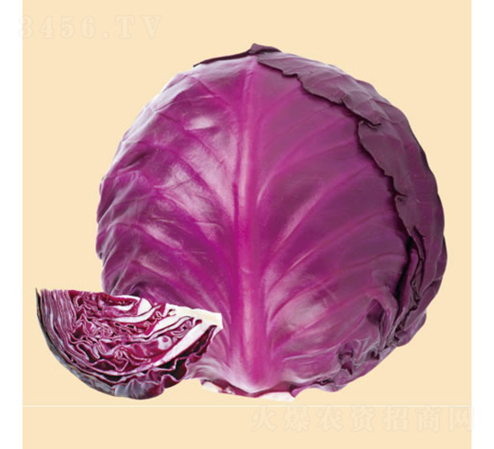 �ϻʺ�65��-���{(l��n)�N��-�c�l(f��)��ʢ