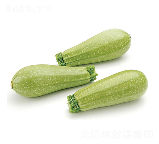 С�`-�����J�N��-�c�l(f��)��ʢ