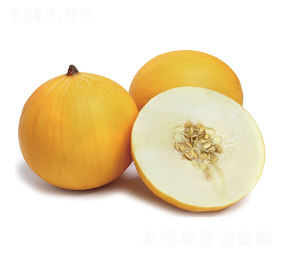 �c����ؐ-��ϷN��-�c�l(f��)��ʢ