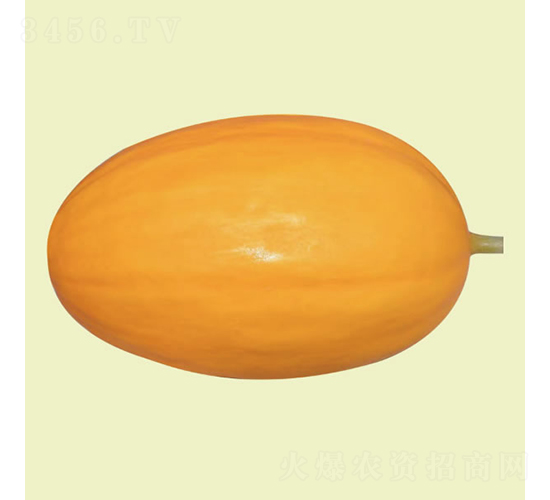 ����2̖(h��o)-��ϷN��-�c�l(f��)��ʢ