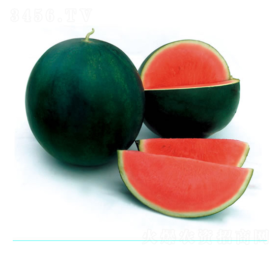 ��ö�o(w��)��1̖(h��o)-���ϷN��-�c�l(f��)��ʢ